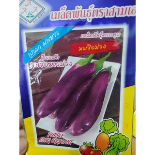 hạt giống cà tím dài nhập khẩu thái lan