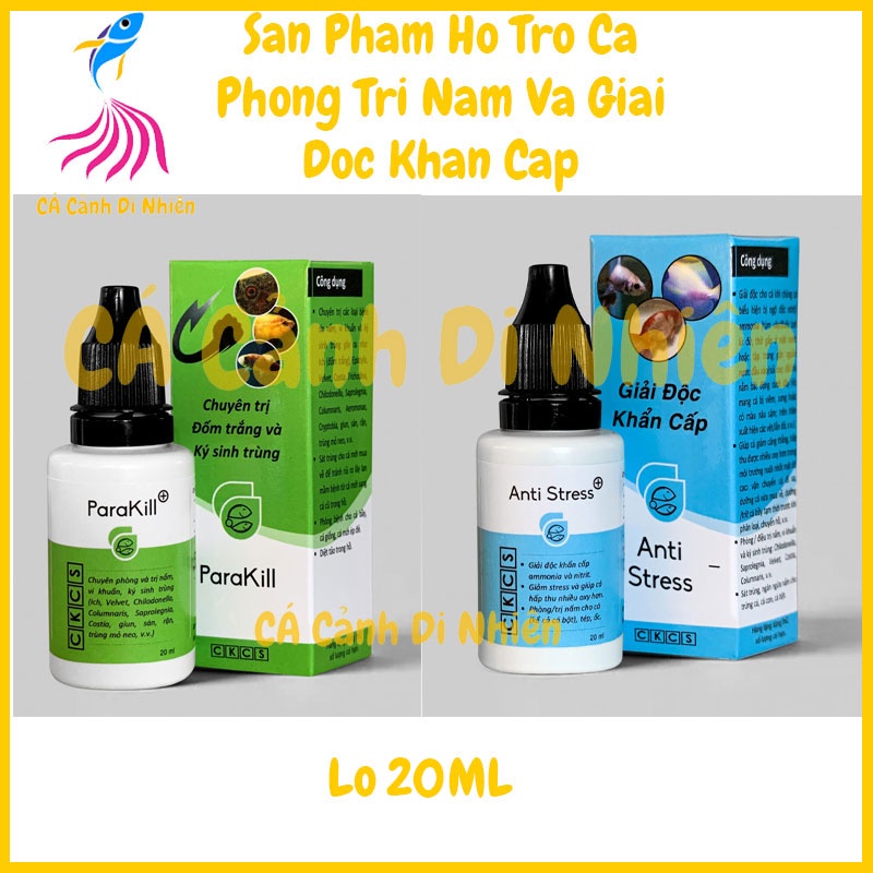 Anti Stress & ParaKill Dưỡng cá và phòng các loại nấm cho bể hồ cá cảnh lọ 20 ML