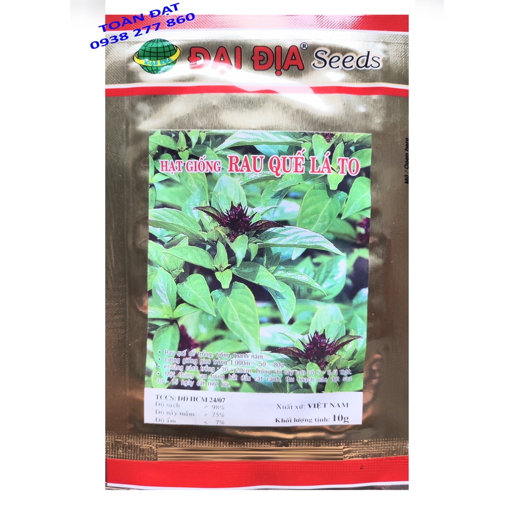 Rau Quế Lá To 10gr, Hạt Giống Rau Húng Quế