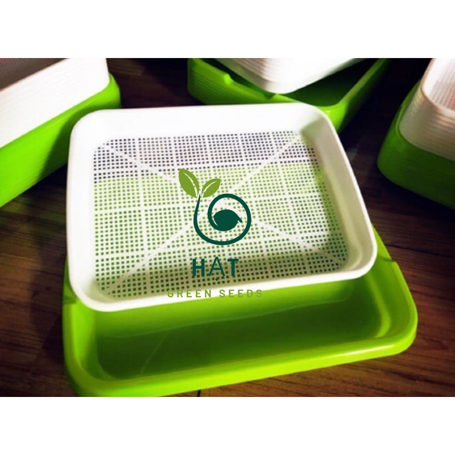 Khay Trồng Rau Mầm, Giá Đỗ Thông Minh Không Cần Giá Thể