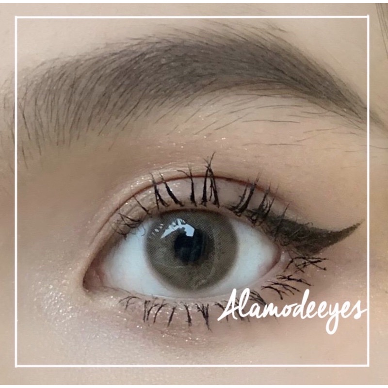Lens nâu trà sữa (tặng khay gương)