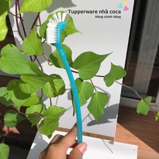 Bàn chải vệ sinh Tupperware