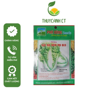 Hạt giống cải bẹ dún pn-813 phunongseeds - 10g