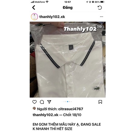Áo polo nam