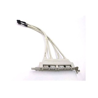 Dây USB 2.0 gắn sau mainboard 4 cổng (màu trắng) dài 30cm