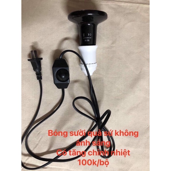Bóng sưởi quả sứ có dây