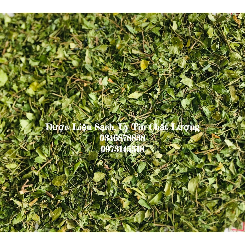 1kg Dây Thìa Canh Khô Sấy Lạnh, Lá xanh mướt ổn định đường huyết