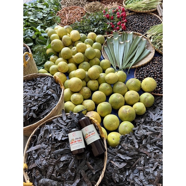 Dầu gội gừng hà thủ ô Mom Shin 500ml | Vũ Phương Thảo Mom Shin | Shop Mẹ Thảo | Ở Cữ Mẹ Shin