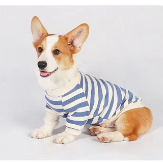 Mới Áo Sweater Giữ Ấm Inu Corgi Phong Cách Đơn Giản Thoải Mái Thời Trang Xuân Thu Đông Dành Cho Cún Cưng Cỡ Vừa / Nhỏ /