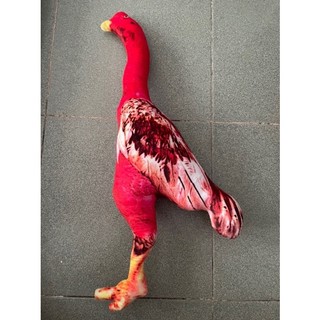 Gà gấu bông tập lực 3D dành cho gà đá