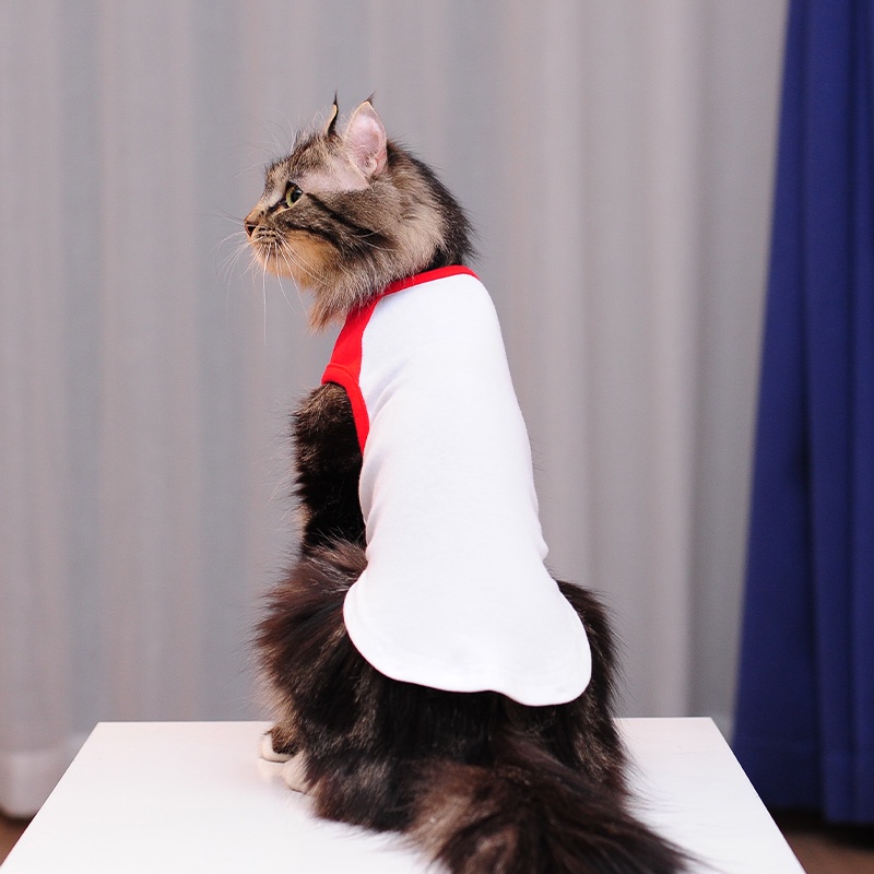 HamshMoc Áo Thun Cotton Mềm Mại Thoáng Khí In Hình Hamsa Cho Thú Cưng