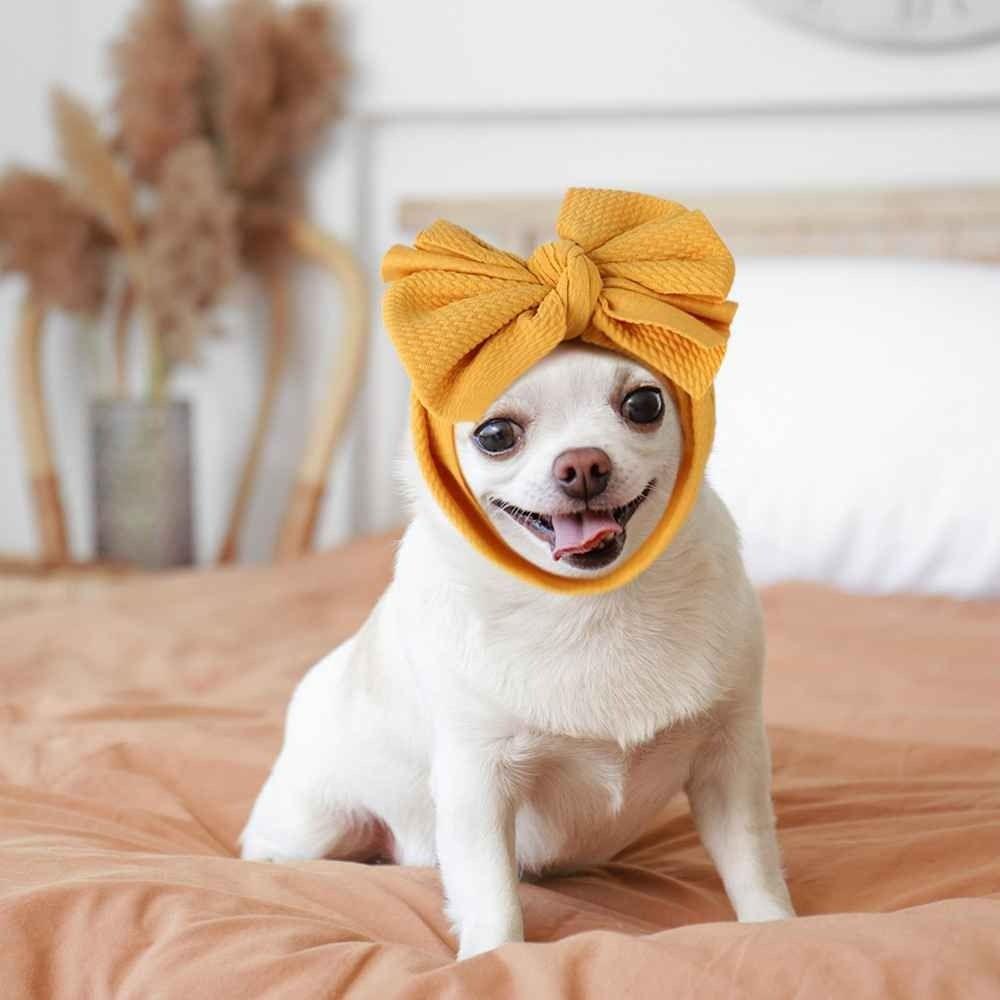 Bộ 2 Băng Đô Nơ Co Giãn Cho Thú Cưng