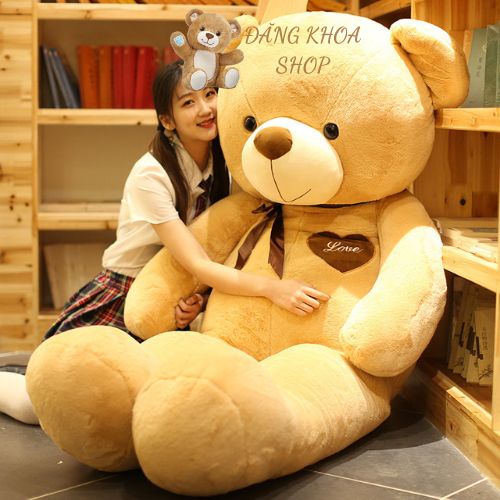 Gấu Teddy To Khổng Lồ Đeo Nơ - Gấu Teddy Làm Qùa Tặng Cao Cấp ĐĂNG KHOA