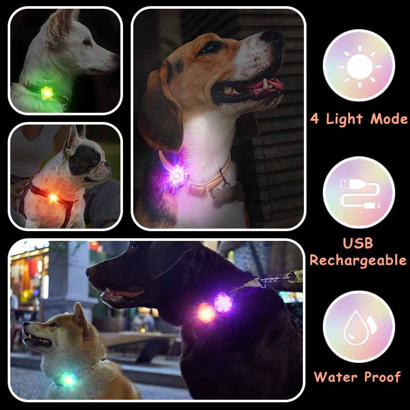 HamshMoc Dây Dắt Thú Cưng Đi Dạo Chống Thấm Nước Có Đèn LED Sạc USB Tiện Dụng