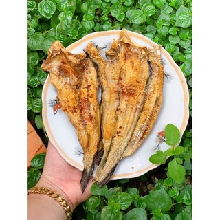 KHÔ CÁ NGÁT MẶN VỪA ĂN