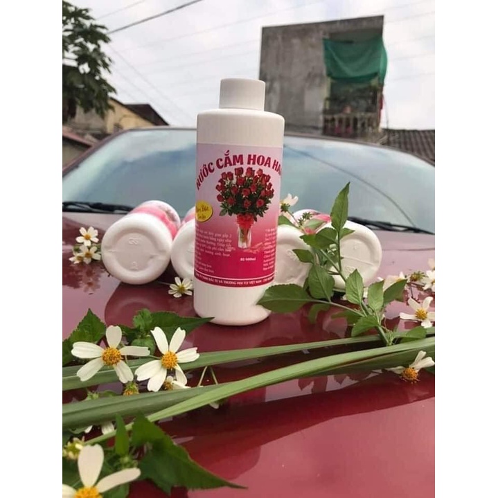 NƯỚC CẮM HOA GIÚP HOA TƯƠI LÂU, CHỐNG THỐI NƯỚC