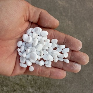 1 Kg sỏi trắng trang trí hồ cá, chậu cây