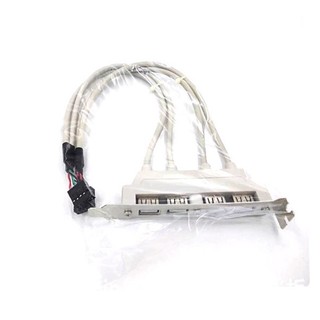 Dây USB 2.0 gắn sau mainboard 4 cổng (màu trắng) dài 30cm