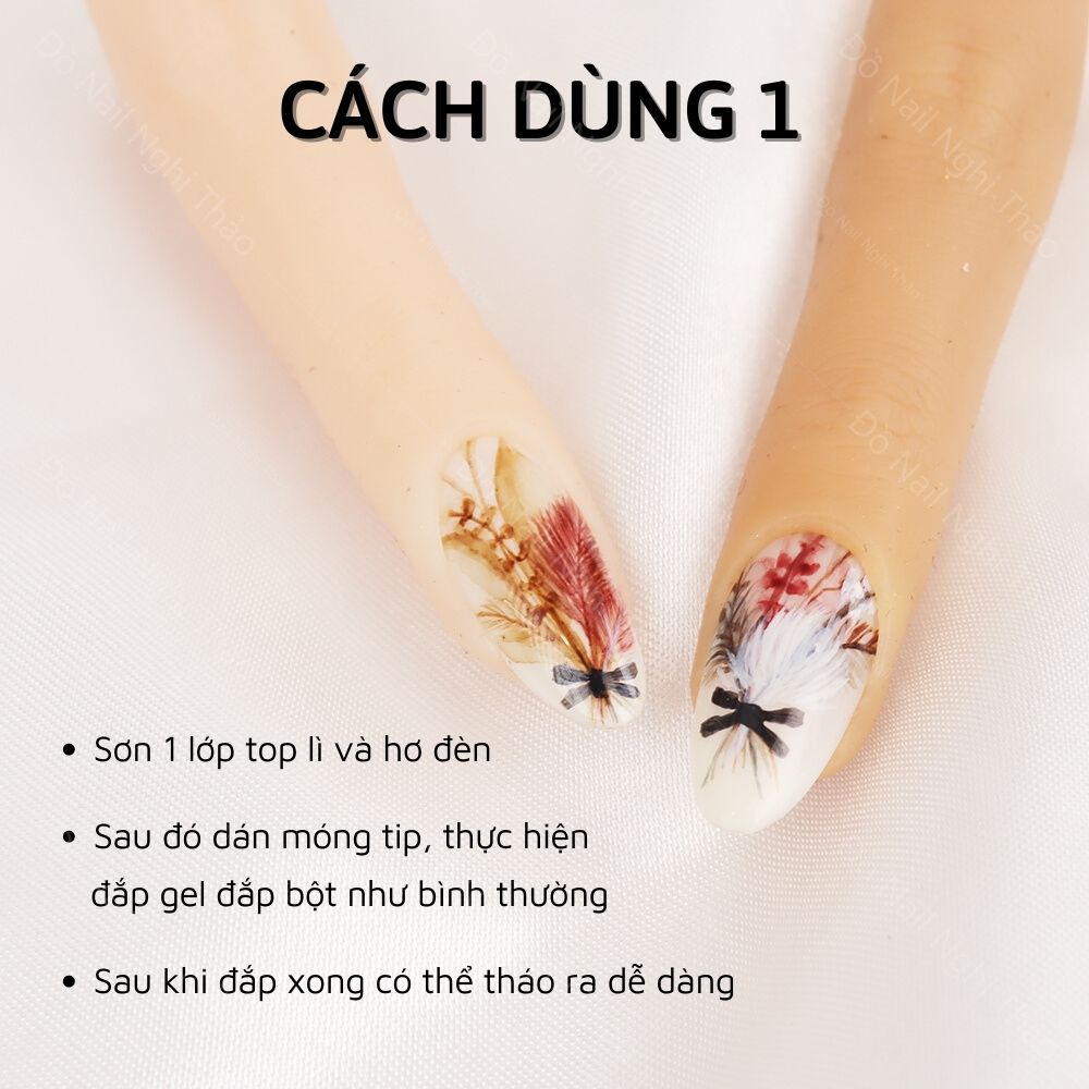 Ngón tay giả học nail silicon JELIVA như thật