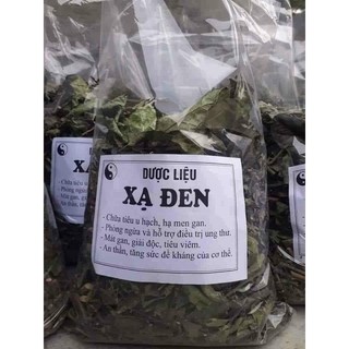 COMBO 5 CÂY XẠ ĐEN DƯỢC LIỆU