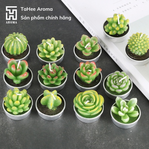 Nến hình cây thương hiệu TaHee Aroma KHÔNG MÙI, trang trí phòng và làm đẹp