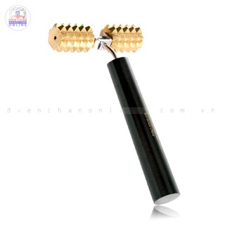 Lăn đồng gai đôi Diện Chẩn Bùi Quốc Châu