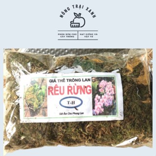 Dớn Trắng - Dớn Chi Lê - Giá Thể Trồng Lan - Vật Dụng Trồng Lan - Chile Moss - Rêu Trắng Giữ Ẩm