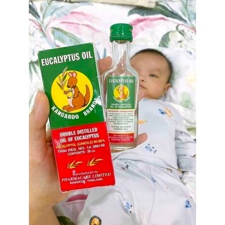 Dầu Tràm Khuynh Diệp Kangaroo Thái Lan