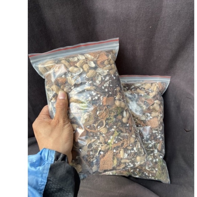 Giá thể đặc biệt chuyên dụng trồng Cẩm cù - hoya trộn sẵn, thông thoáng phát triển rễ và trồng lâu dài