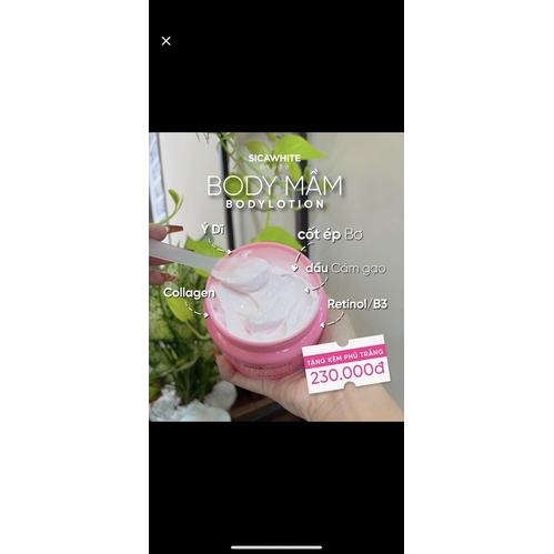 BODY MẦM TẶNG PHỦ TRẮNG
