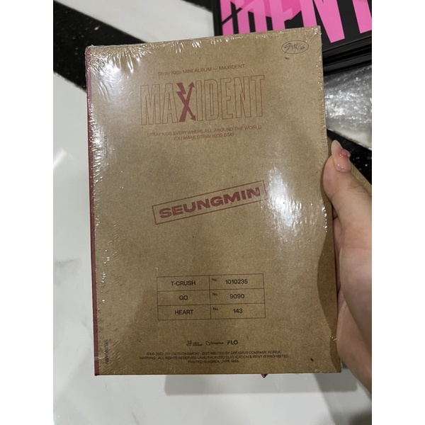 Bộ sách ảnh Maxident case Straykids