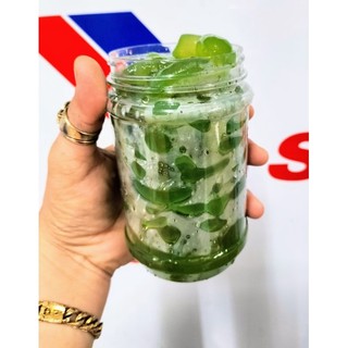1KG HẠT ĐÁC RIM SÂM LÁ DỨA - ĐƯỜNG PHÈN (RIM HẠT TO)