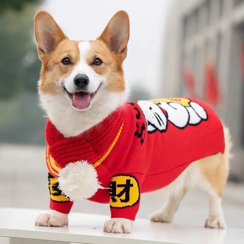 Áo Thun Thu Đông Phong Cách Mới Cho Thú Cưng Chó Shiba Inu Corgi Pháp Chiến Đấu Teddy Bichon Kích Thước Vừa Và Nhỏ