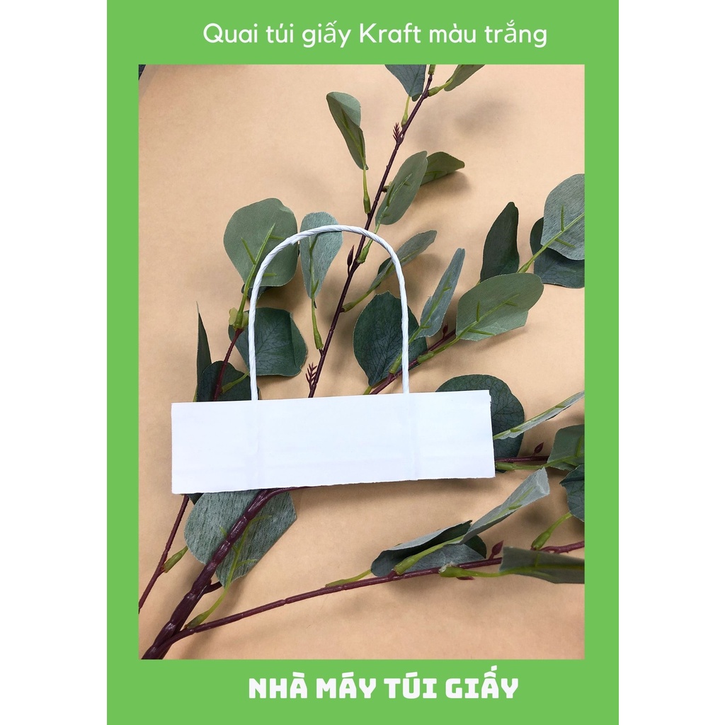Quai túi giấy Kraft trắng