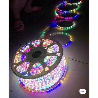 Led dây đơn sắc 3014 các mầu