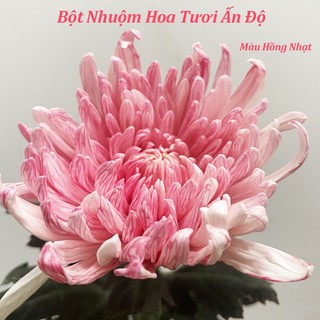 Bột nhuộm hoa tươi chuyên nghiệp nhập khẩu ấn độ argacolor dye màu hồng nhạt 100gram