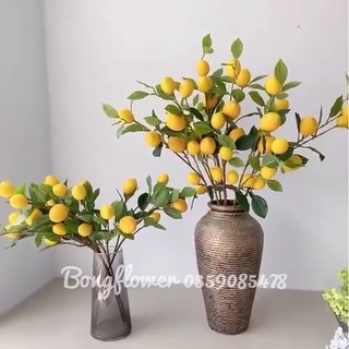 Cành quả chanh giả hàng đẹp