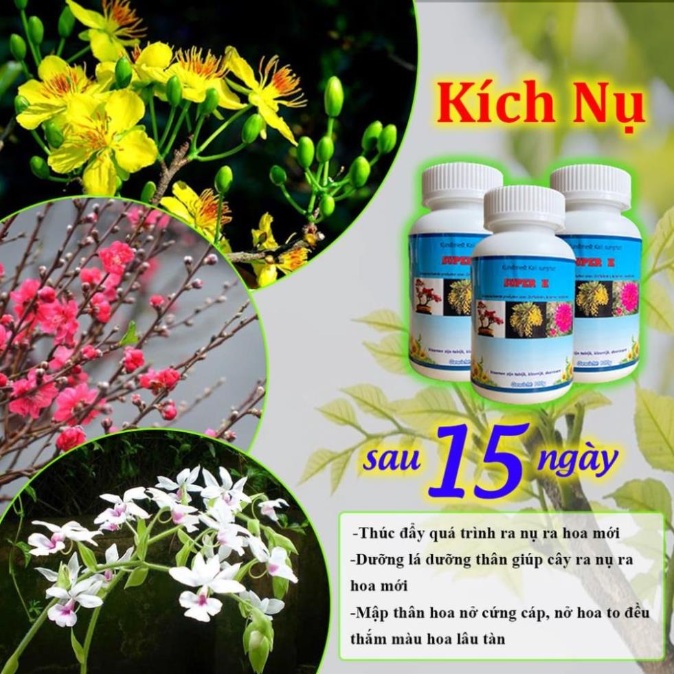 Thuốc Kích Hoa Mập Nụ cực mạnh Supper K Nông Nghiệp Việt