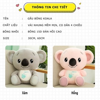 Gấu bông Koala siêu đẹp siêu hot