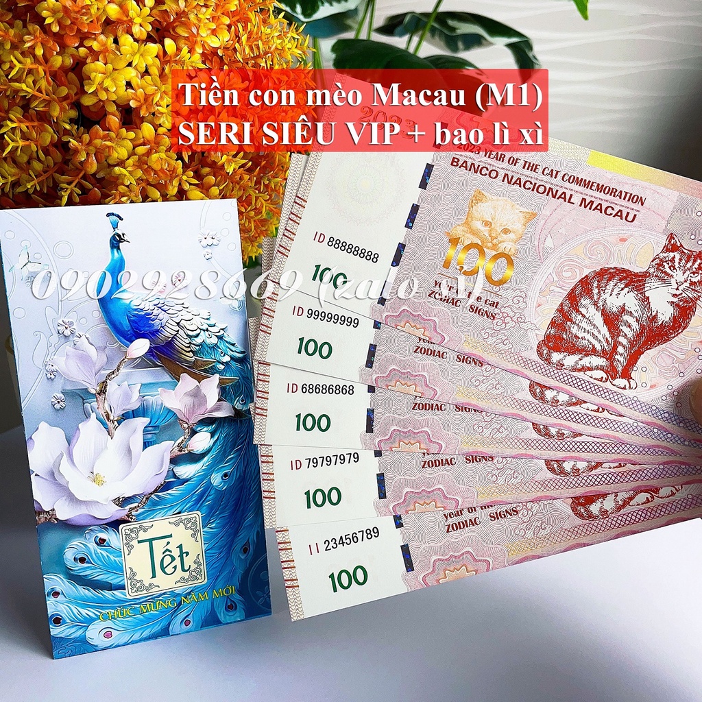 Mèo Macao Seri SIÊU VIP (mẫu Tết Đoàn Viên), quà tặng, lì xì tết Quý Mão 2023, TẶNG BAO LÌ XÌ