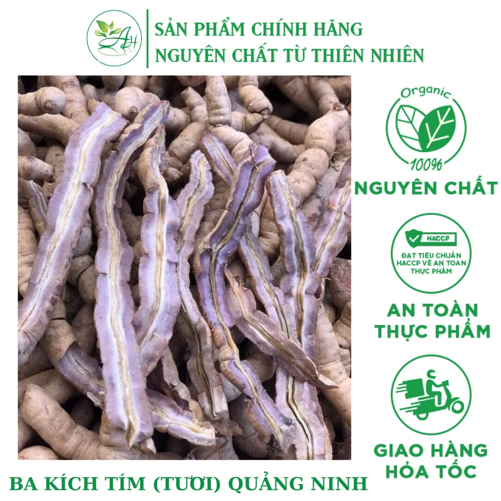 Ba kích tím quảng ninh tươi 1KG thượng hạng đã làm sạch, tách bỏ lõi hút chân không