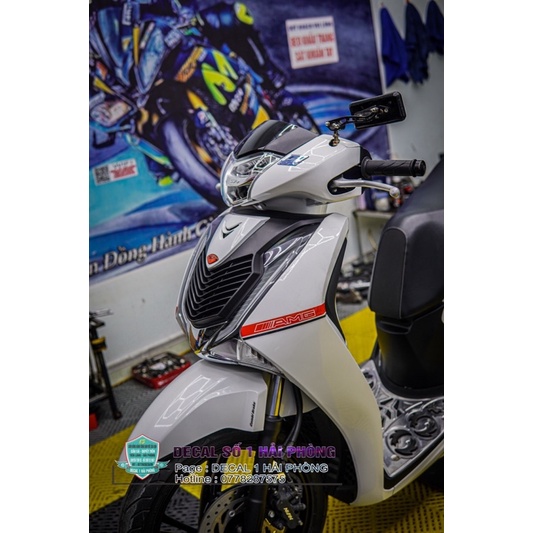 Tem rời amg sh 2019