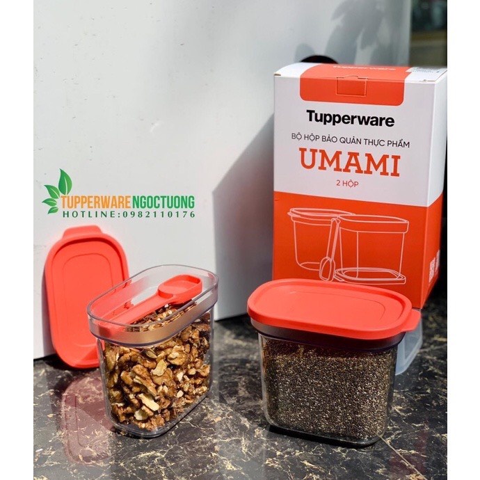 Hộp BQTP Umami (1 hộp)