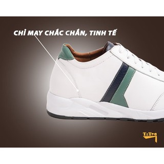 [ 8CM ] Giày Cao Nam T&TRA T29 T
