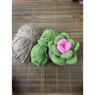 Chậu sen đá len handmade