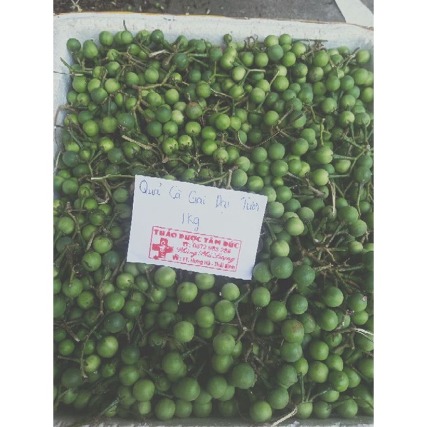 1kg quả cà gai dại hoa trắng