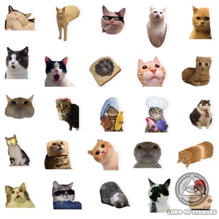 Set 50 hình dán meme sticker mèo cute vui nhộn hài hước chống thấm nước - ảnh sản phẩm 2