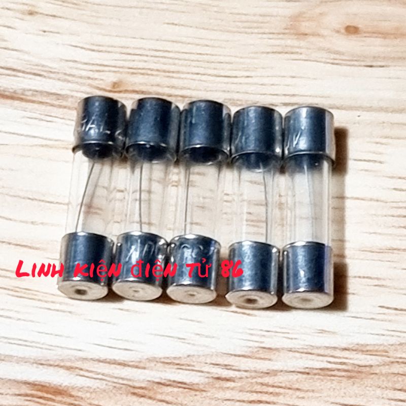 Cầu chì thủy tinh 10A 250V 5×20mm F10AL250V