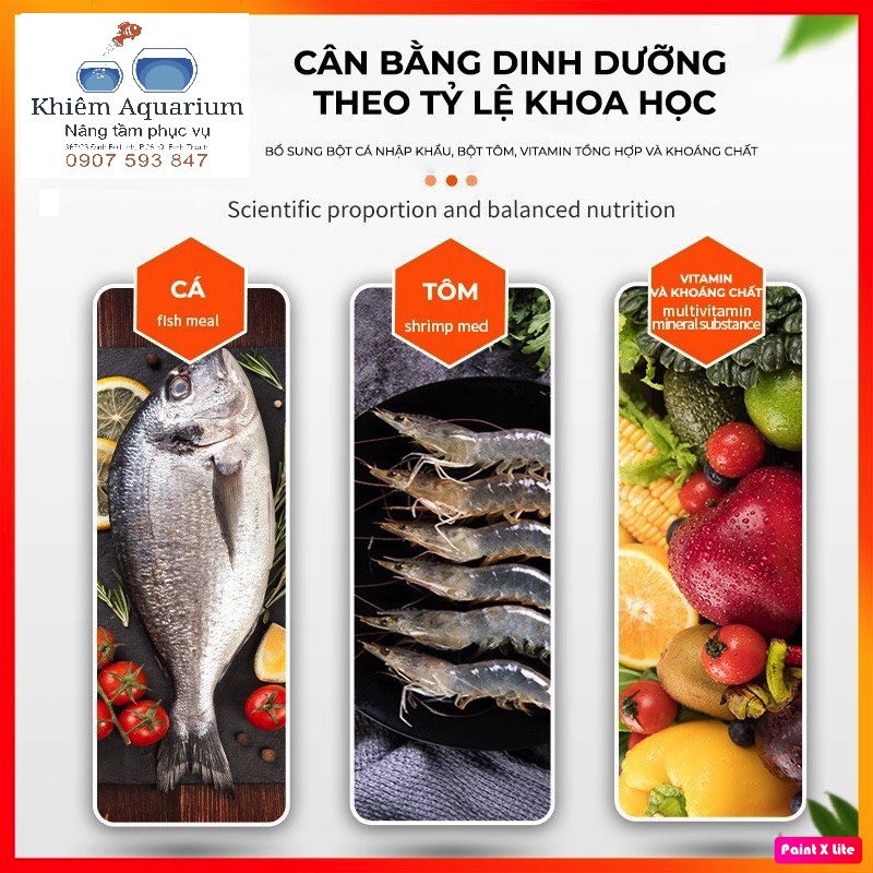 BESSN Thức ăn chuyên cho chép sư tử, chép phụng, bướm, Koi Nhật giúp lên body,đầu, màu toàn diện