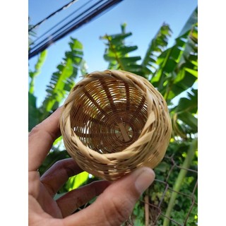 Tổ chim mini